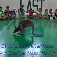 IV Campus Infantil de Magia
